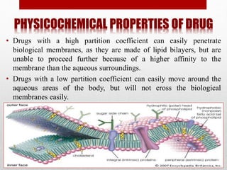 PHYSICOCHEMICAL PROPERTIES OF DRUG
• Drugs with a high partition coefficient can easily penetrate
biological membranes, as they are made of lipid bilayers, but are
unable to proceed further because of a higher affinity to the
membrane than the aqueous surroundings.
• Drugs with a low partition coefficient can easily move around the
aqueous areas of the body, but will not cross the biological
membranes easily.
 