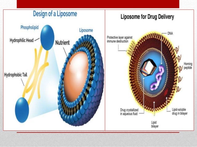 Controlled release drug delivery system