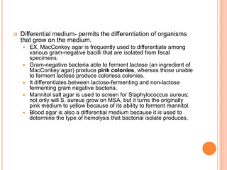  Differential medium- permits the differentiation of organisms
that grow on the medium.
 EX. MacConkey agar is frequently used to differentiate among
various gram-negative bacilli that are isolated from fecal
specimens.
 Gram-negative bacteria able to ferment lactose (an ingredient of
MacConkey agar) produce pink colonies, whereas those unable
to ferment lactose produce colorless colonies.
 It differentiates between lactose-fermenting and non-lactose
fermenting gram negative bacteria.
 Mannitol salt agar is used to screen for Staphylococcus aureus;
not only will S. aureus grow on MSA, but it turns the originally
pink medium to yellow because of its ability to ferment mannitol.
 Blood agar is also a differential medium because it is used to
determine the type of hemolysis that bacterial isolate produces.
 
