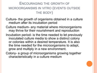 ENCOURAGING THE GROWTH OF
MICROORGANISMS IN VITRO (EVENTS OUTSIDE
THE BODY)
Culture- the growth of organisms obtained in a culture
medium after its incubation period
Culture medium- any material where microorganisms
may thrive for their nourishment and reproduction
Incubation period- is the time needed to let previously
inoculated culture media to show a distinct colony
or colonies within a desired temperature. It is also
the time needed for the microorganisms to adapt,
grow and multiply in a new environment.
Colony- a group of microorganisms growing together
characteristically in a culture medium
 