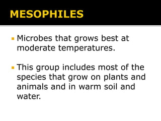 

Microbes that grows best at
moderate temperatures.



This group includes most of the
species that grow on plants and
animals and in warm soil and
water.

 