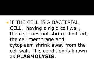 

IF THE CELL IS A BACTERIAL
CELL, having a rigid cell wall,
the cell does not shrink. Instead,
the cell membrane and
cytoplasm shrink away from the
cell wall. This condition is known
as PLASMOLYSIS.

 