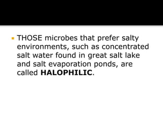 

THOSE microbes that prefer salty
environments, such as concentrated
salt water found in great salt lake
and salt evaporation ponds, are
called HALOPHILIC.

 