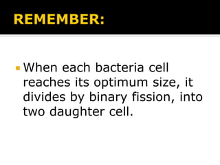  When

each bacteria cell
reaches its optimum size, it
divides by binary fission, into
two daughter cell.

 