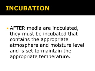 

AFTER media are inoculated,
they must be incubated that
contains the appropriate
atmosphere and moisture level
and is set to maintain the
appropriate temperature.

 