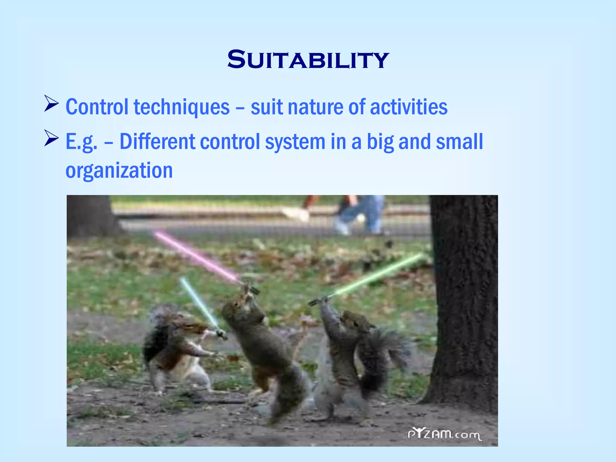 Suitability
 Control techniques – suit nature of activities
 E.g. – Different control system in a big and small
organization
 