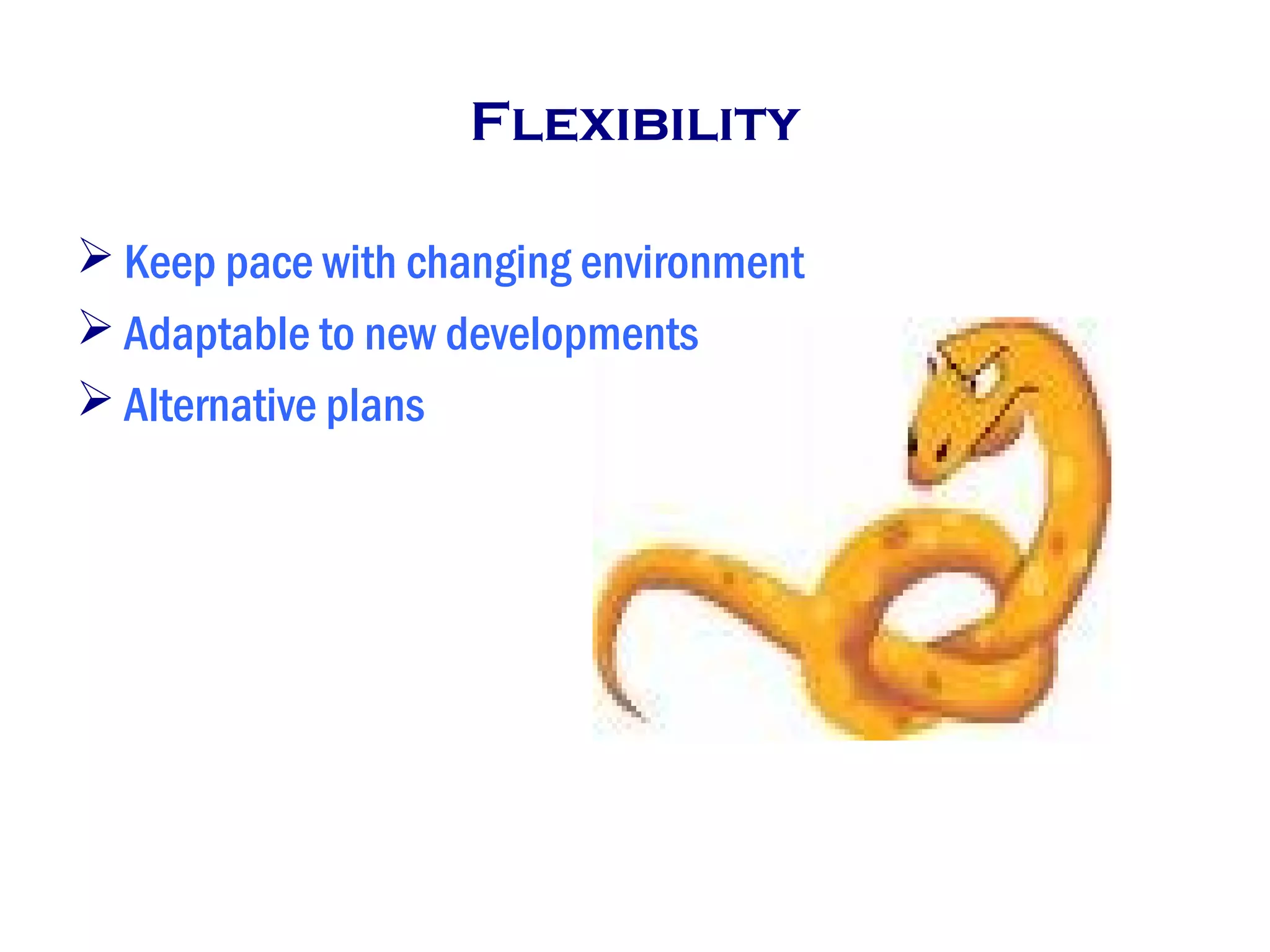 Flexibility
 Keep pace with changing environment
 Adaptable to new developments
 Alternative plans
 