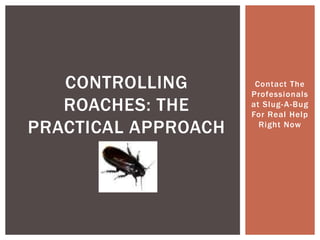 Contact The Professionals at Slug-A-Bug For Real Help Right Now<br />Controlling Roaches: The Practical Approach<br />