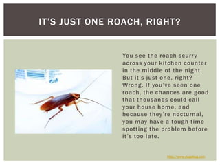 You see the roach scurry across your kitchen counter in the middle of the night. But it’s just one, right? Wrong. If you’ve seen one roach, the chances are good that thousands could call your house home, and because they’re nocturnal, you may have a tough time spotting the problem before it’s too late.It’s Just One Roach, Right?http://www.slugabug.com
