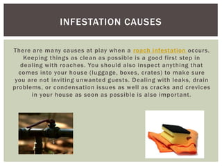 There are many causes at play when a roach infestation occurs. Keeping things as clean as possible is a good first step in dealing with roaches. You should also inspect anything that comes into your house (luggage, boxes, crates) to make sure you are not inviting unwanted guests. Dealing with leaks, drain problems, or condensation issues as well as cracks and crevices in your house as soon as possible is also important.Infestation Causes