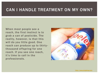 When most people see a roach, the first instinct is to grab a can of pesticide. The reality, however, is that this will do you little good. One roach can produce up to thirty-thousand offspring for one roach. If you see one roach, it’s time to call in the professionals. Can I Handle Treatment On My Own?http://www.slugabug.com