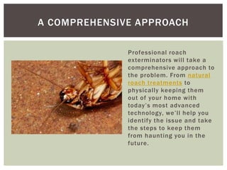 Professional roach exterminators will take a comprehensive approach to the problem. From natural roach treatments to physically keeping them out of your home with today’s most advanced technology, we’ll help you identify the issue and take the steps to keep them from haunting you in the future.A comprehensive Approach
