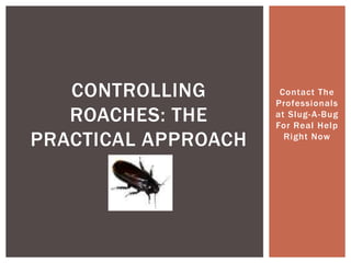 Contact The Professionals at Slug-A-Bug For Real Help Right Now Controlling Roaches: The Practical Approach 