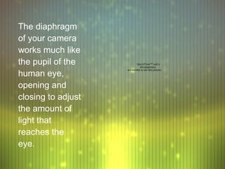 The diaphragm
of your camera
works much like
the pupil of the            QuickTime™ and a
                              decompressor

human eye,
                    are needed to see this picture.




opening and
closing to adjust
the amount of
light that
reaches the
eye.
 