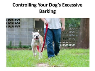 Controlling Your Dog’s Excessive
Barking
 