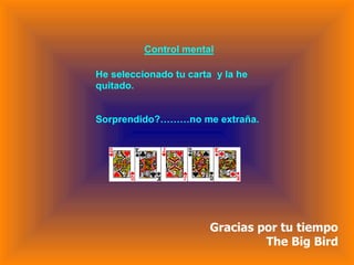 Gracias por tu tiempo   The Big Bird 