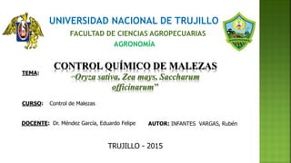 UNIVERSIDAD NACIONAL DE TRUJILLO
FACULTAD DE CIENCIAS AGROPECUARIAS
AGRONOMÍA
AUTOR: INFANTES VARGAS, RubénDOCENTE: Dr. Méndez García, Eduardo Felipe
CURSO: Control de Malezas
TEMA:
CONTROL QUÍMICO DE MALEZAS
‘‘Oryza sativa, Zea mays, Saccharum
officinarum’’
TRUJILLO - 2015
 