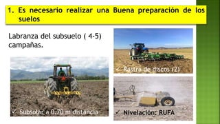 1. Es necesario realizar una Buena preparación de los
suelos
Labranza del subsuelo ( 4-5)
campañas.
 Subsolar a 0.70 m distancia  Nivelación: RUFA
 Rastra de discos (2)
 