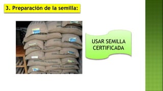 3. Preparación de la semilla:
USAR SEMILLA
CERTIFICADA
 