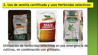 2. Uso de semilla certificada y usos Herbicidas selectivos:
Utilización de herbicidas selectivos en pos emergencia de
cultivos, en combinación con glifosato.
 