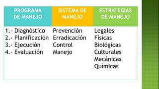 PROGRAMA
DE MANEJO
SISTEMA DE
MANEJO
ESTRATEGIAS
DE MANEJO
1.- Diagnóstico
2.- Planificación
3.- Ejecución
4.- Evaluación
Prevención
Erradicación
Control
Manejo
Legales
Físicas
Biológicas
Culturales
Mecánicas
Químicas
 