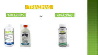 AMETRINAS ATRAZINAS
TRIAZINAS
+
 