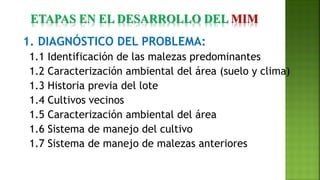 1. DIAGNÓSTICO DEL PROBLEMA:
1.1 Identificación de las malezas predominantes
1.2 Caracterización ambiental del área (suelo y clima)
1.3 Historia previa del lote
1.4 Cultivos vecinos
1.5 Caracterización ambiental del área
1.6 Sistema de manejo del cultivo
1.7 Sistema de manejo de malezas anteriores
ETAPAS EN EL DESARROLLO DEL MIM
 
