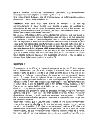 Control Medico En El Hato De Recria