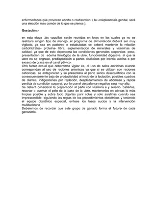 Control Medico En El Hato De Recria