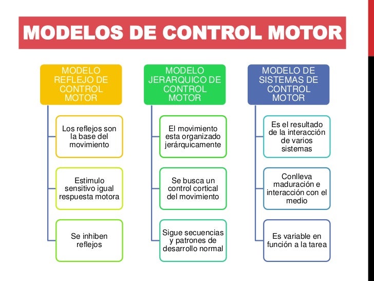 Control motor