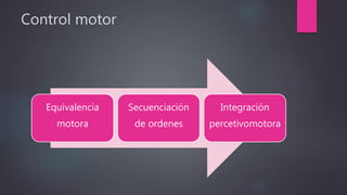 Control motor
Equivalencia
motora
Secuenciación
de ordenes
Integración
percetivomotora
 