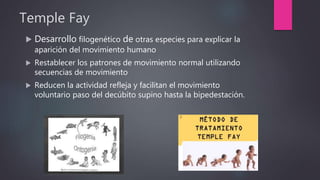 Temple Fay
 Desarrollo filogenético de otras especies para explicar la
aparición del movimiento humano
 Restablecer los patrones de movimiento normal utilizando
secuencias de movimiento
 Reducen la actividad refleja y facilitan el movimiento
voluntario paso del decúbito supino hasta la bipedestación.
 