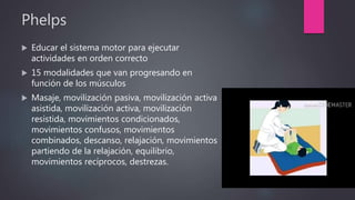 Phelps
 Educar el sistema motor para ejecutar
actividades en orden correcto
 15 modalidades que van progresando en
función de los músculos
 Masaje, movilización pasiva, movilización activa
asistida, movilización activa, movilización
resistida, movimientos condicionados,
movimientos confusos, movimientos
combinados, descanso, relajación, movimientos
partiendo de la relajación, equilibrio,
movimientos recíprocos, destrezas.
 