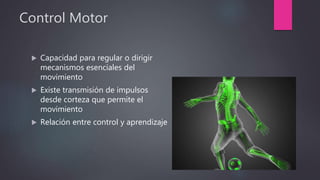 Control Motor
 Capacidad para regular o dirigir
mecanismos esenciales del
movimiento
 Existe transmisión de impulsos
desde corteza que permite el
movimiento
 Relación entre control y aprendizaje
 