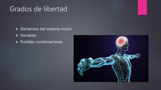 Grados de libertad
 Elementos del sistema motor
 Variables
 Posibles combinaciones
 