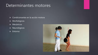 Determinantes motores
 Condicionantes en la acción motora
 Morfológicos
 Mecánicos
 Neurológicos
 Entorno
 