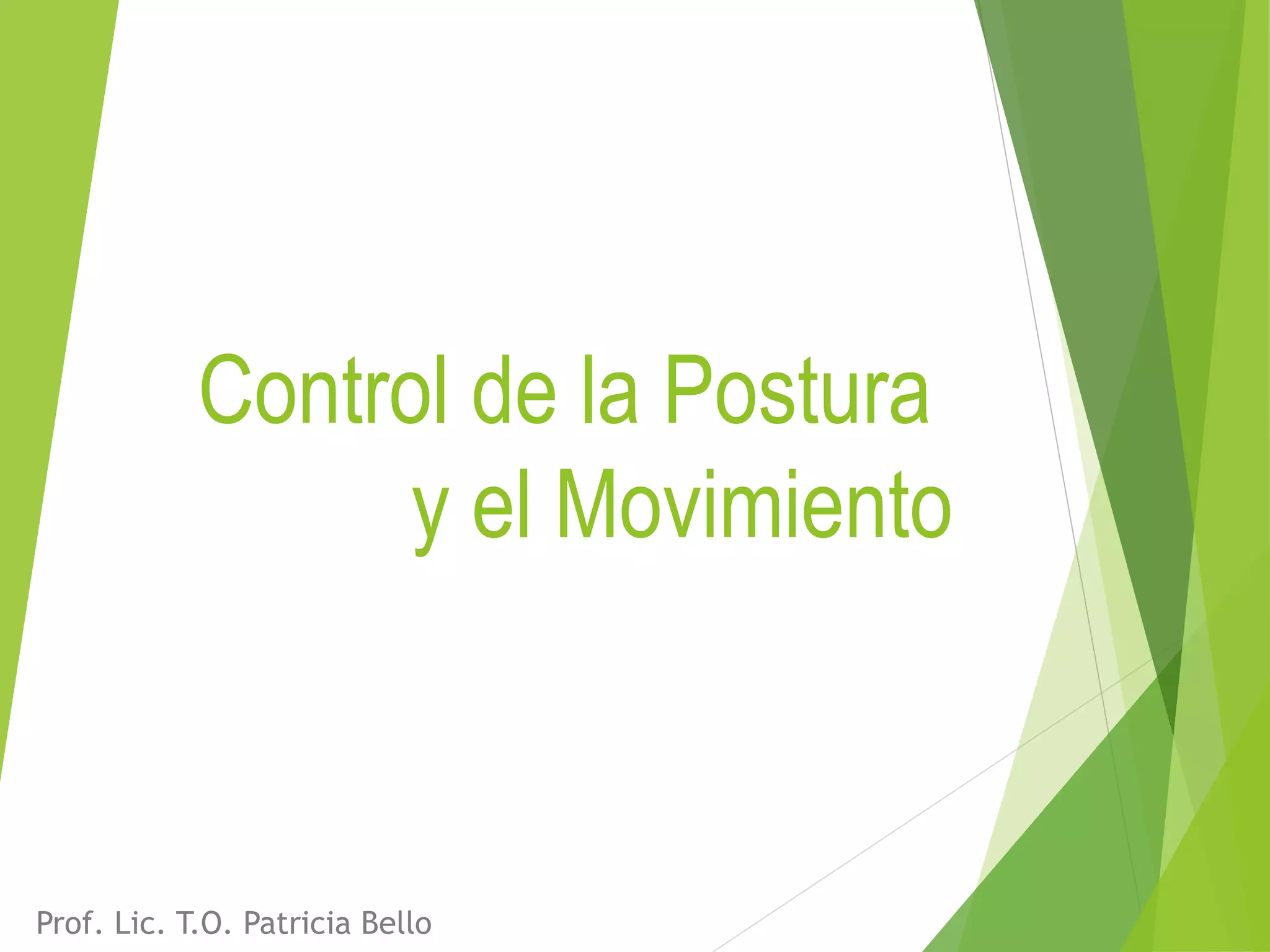 Control motor PPT