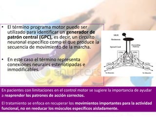 • El término programa motor puede ser
  utilizado para identificar un generador de
  patrón central (GPC), es decir, un circuito
  neuronal específico como el que produce la
  secuencia de movimiento de la marcha.

• En este caso el término representa
  conexiones neurales esteriotipadas e
  inmodificables.


En pacientes con limitaciones en el control motor se sugiere la importancia de ayudar
a reaprender los patrones de acción correctos.
El tratamiento se enfoca en recuperar los movimientos importantes para la actividad
funcional, no en reeducar los músculos específicos aisladamente.
 