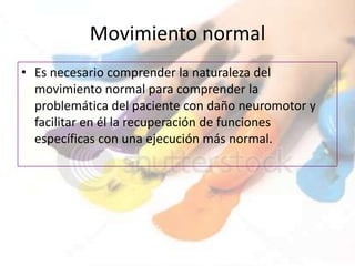 Movimiento normal
• Es necesario comprender la naturaleza del
  movimiento normal para comprender la
  problemática del paciente con daño neuromotor y
  facilitar en él la recuperación de funciones
  específicas con una ejecución más normal.
 