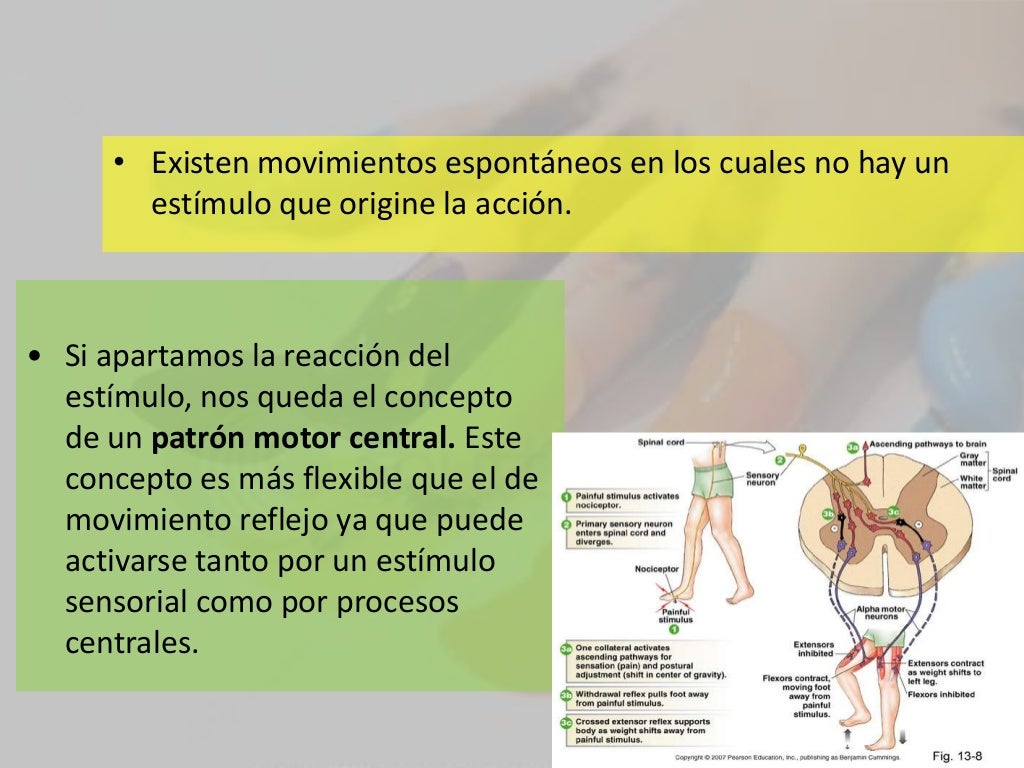 Control motor y movimiento normal