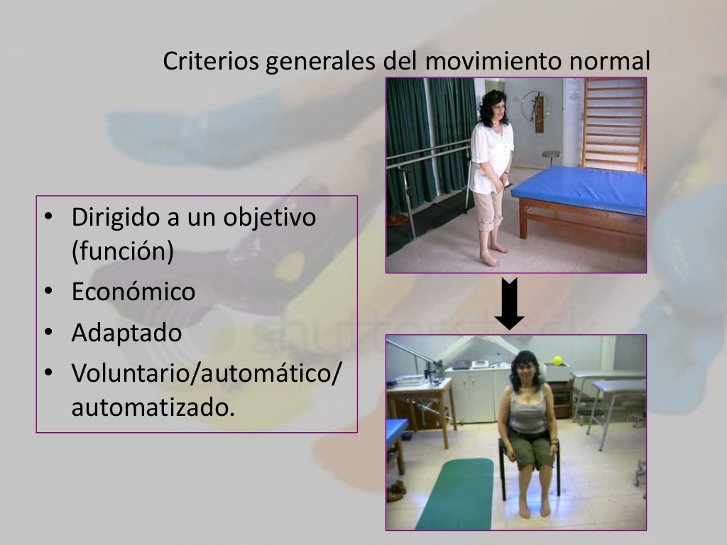 Control motor y movimiento normal