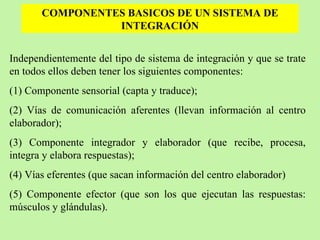COMPONENTES BASICOS DE UN SISTEMA DE INTEGRACIÓN Independientemente del tipo de sistema de integración y que se trate en todos ellos deben tener los siguientes componentes:  (1) Componente sensorial (capta y traduce); (2) Vías de comunicación aferentes (llevan información al centro elaborador);  (3) Componente integrador y elaborador (que recibe, procesa, integra y elabora respuestas);  (4) Vías eferentes (que sacan información del centro elaborador) (5) Componente efector (que son los que ejecutan las respuestas: músculos y glándulas). 