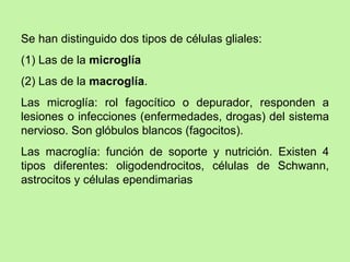 Se han distinguido dos tipos de células gliales:  (1) Las de la  microglía (2) Las de la  macroglía .  Las microglía: rol fagocítico o depurador, responden a lesiones o infecciones (enfermedades, drogas) del sistema nervioso. Son glóbulos blancos (fagocitos). Las macroglía: función de soporte y nutrición. Existen 4 tipos diferentes: oligodendrocitos, células de Schwann, astrocitos y células ependimarias 