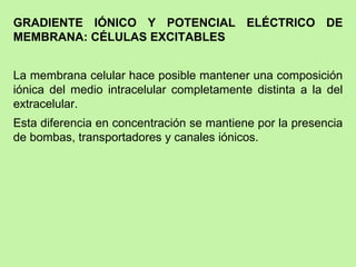 GRADIENTE IÓNICO Y POTENCIAL ELÉCTRICO DE MEMBRANA: CÉLULAS EXCITABLES La membrana celular hace posible mantener una composición iónica del medio intracelular completamente distinta a la del extracelular.  Esta diferencia en concentración se mantiene por la presencia de bombas, transportadores y canales iónicos.  