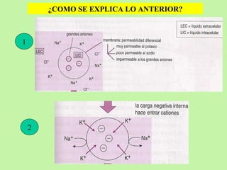 1 ¿COMO SE EXPLICA LO ANTERIOR? 2 