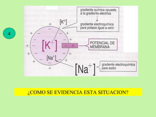 4 ¿COMO SE EVIDENCIA ESTA SITUACION? 