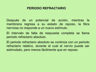 Después de un potencial de acción, mientras la membrana regresa a su estado de reposo, la fibra nerviosa no responde a un nuevo estímulo.  El intervalo de falta de respuesta completa se llama periodo refractario absoluto.  El periodo refractario absoluto se continúa con un periodo refractario relativo, durante el cual el nervio puede ser estimulado, pero menos fácilmente que en reposo. PERIODO REFRACTARIO 