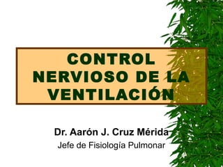 CONTROL
NERVIOSO DE LA
VENTILACIÓN
Dr. Aarón J. Cruz Mérida
Jefe de Fisiología Pulmonar

 