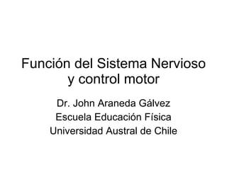 Función del Sistema Nervioso y control motor Dr. John Araneda Gálvez Escuela Educación Física Universidad Austral de Chile 