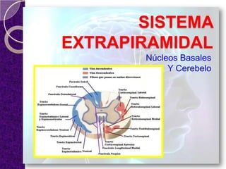 SISTEMA
EXTRAPIRAMIDAL
Núcleos Basales
Y Cerebelo
 